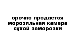 срочно продается морозильная камера сухой заморозки